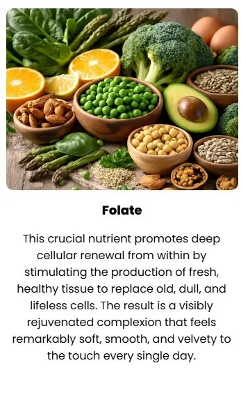 Gelagen Ingredients: A Closer Look at All 13 Nutrients